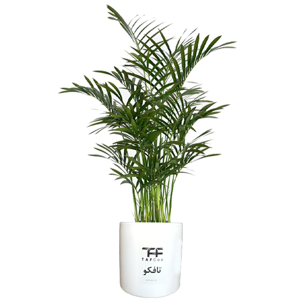 دسته گل مصنوعی دکوفلاورز مدل Buket 54 به همراه جعبه کادویی